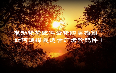 电动轮椅配件齿轮购买指南（如何选择最适合的齿轮配件）