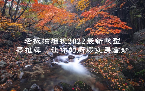 老板油烟机2022最新款型号推荐（让你的厨房变身高端大气上档次）