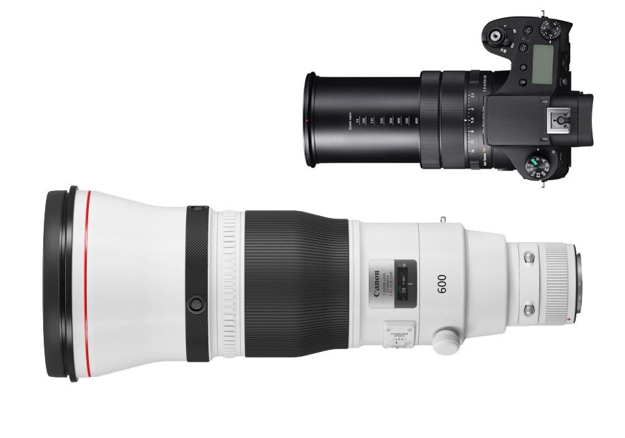 索尼便携相机RX10M4(四胖子)拍摄飞鸟的设置