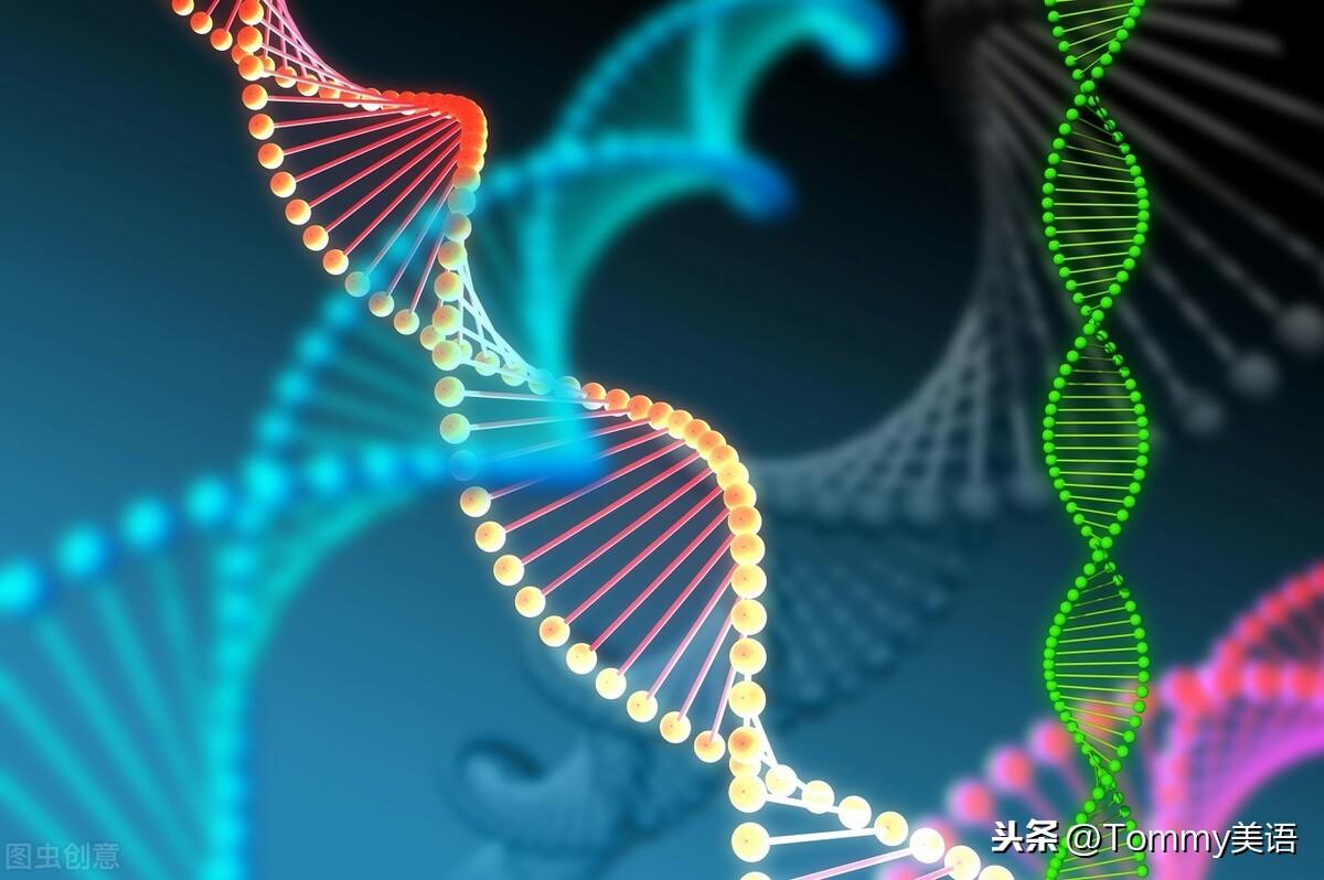 每天记一个单词（第3484）genetic