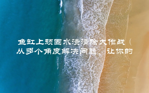 鱼缸上顽固水渍清除大作战（从多个角度解决问题，让你的鱼缸焕然一新）
