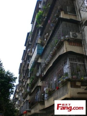 长虹住宅楼 VS 听泉居谁是你的菜?