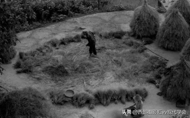 西部人文|《西北偏西 》吴平关