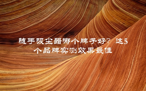 随手吸尘器哪个牌子好？这5个品牌实测效果最佳