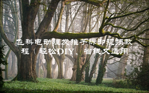 飞科电动理发推子拆卸视频教程（轻松DIY，省钱又适用）