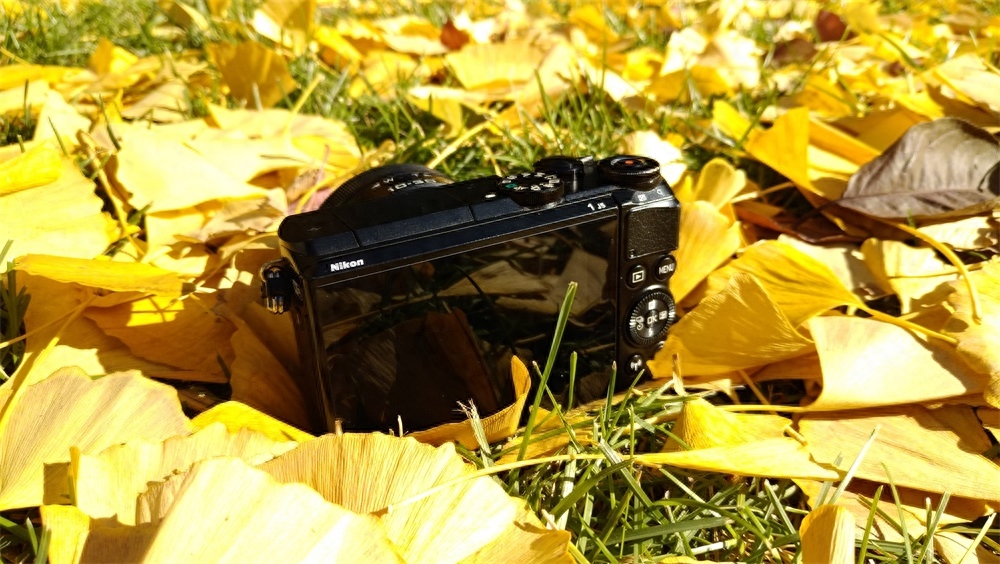 记录深秋之尼康J5测评