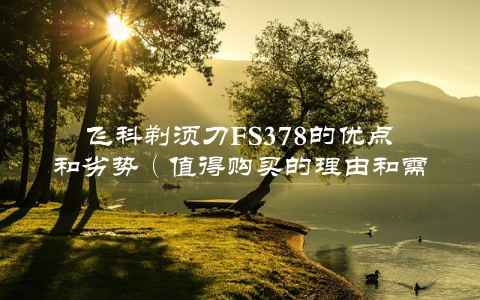 飞科剃须刀FS378的优点和劣势（值得购买的理由和需要注意的问题）