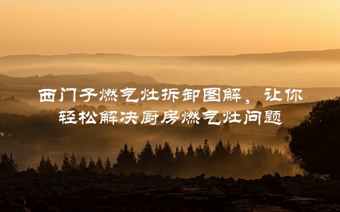 西门子燃气灶拆卸图解，让你轻松解决厨房燃气灶问题