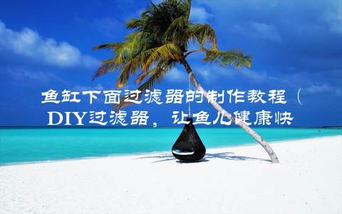 鱼缸下面过滤器的制作教程（DIY过滤器，让鱼儿健康快乐生长）