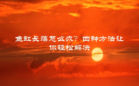 鱼缸长藻怎么办？四种方法让你轻松解决
