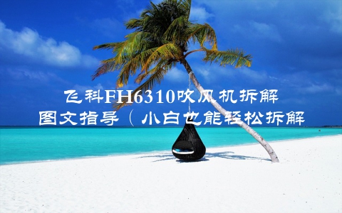 飞科FH6310吹风机拆解图文指导（小白也能轻松拆解）