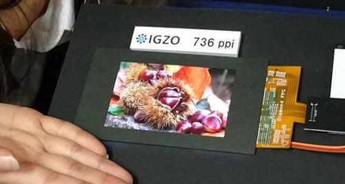高达736ppi 全新夏普IGZO LCD面板登场
