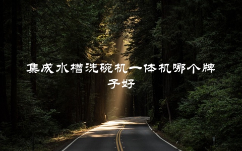 集成水槽洗碗机一体机哪个牌子好