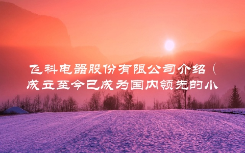 飞科电器股份有限公司介绍（成立至今已成为国内领先的小家电品牌）