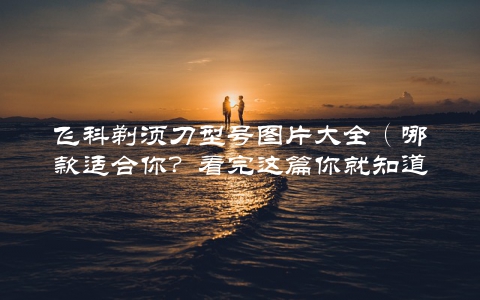 飞科剃须刀型号图片大全（哪款适合你？看完这篇你就知道了）
