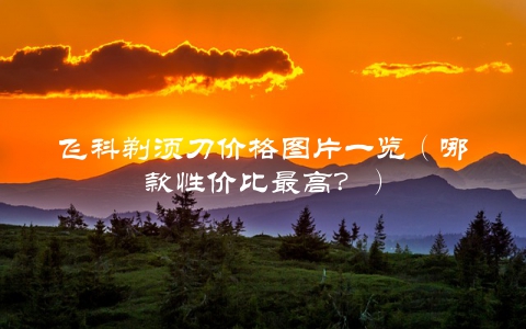 飞科剃须刀价格图片一览（哪款性价比最高？）