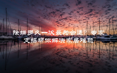 除螨多久一次最为合适？专家支招帮你解决家居难题