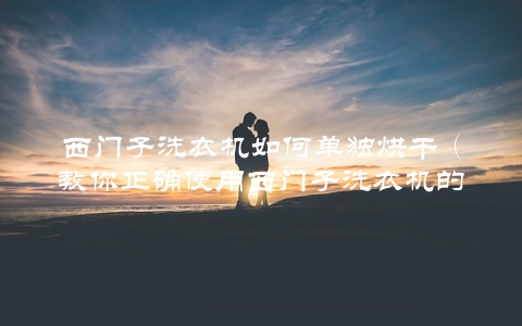 西门子洗衣机如何单独烘干（教你正确使用西门子洗衣机的干衣功能）
