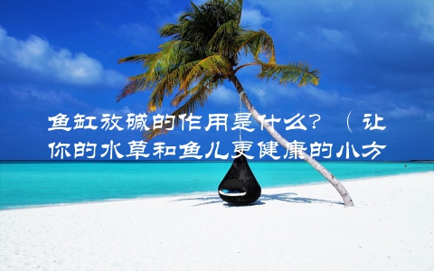 鱼缸放碱的作用是什么？（让你的水草和鱼儿更健康的小方法）