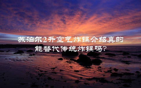 苏泊尔2升空气炸锅介绍真的能替代传统炸锅吗？