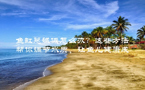 鱼缸总碱低怎么办？这些方法帮你调节水质，让鱼儿健康成长