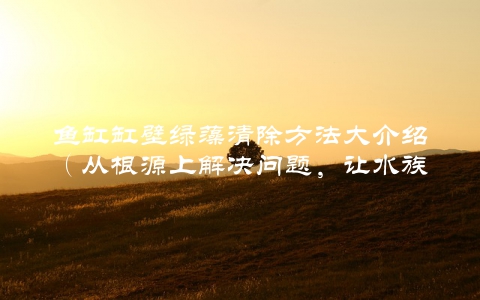 鱼缸缸壁绿藻清除方法大介绍（从根源上解决问题，让水族世界更清新）