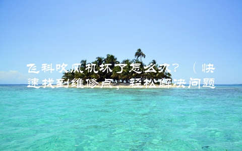 飞科吹风机坏了怎么办？（快速找到维修点，轻松解决问题）