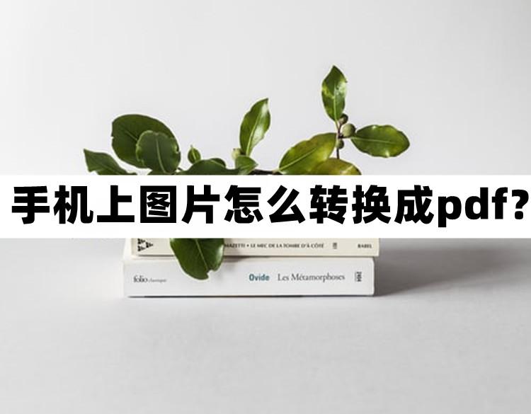 手机上图片怎么转换成pdf格式？这几个方法好用