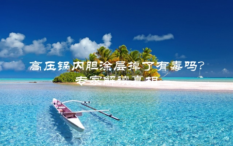 高压锅内胆涂层掉了有毒吗？专家解读真相