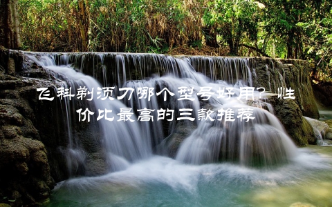 飞科剃须刀哪个型号好用？性价比最高的三款推荐