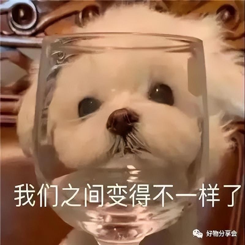 CDR 快捷键大全