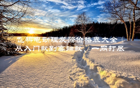 飞科电动理发器价格表大全（从入门款到高端款，一网打尽）