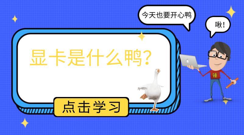 铅锤哥：显卡的作用究竟是什么？