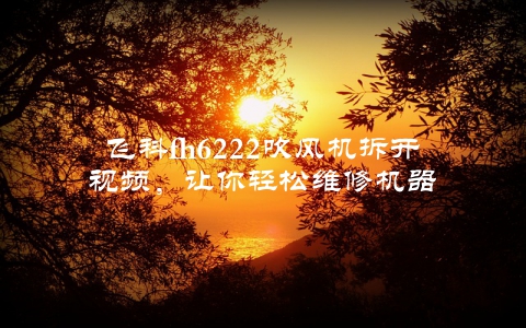 飞科fh6222吹风机拆开视频，让你轻松维修机器