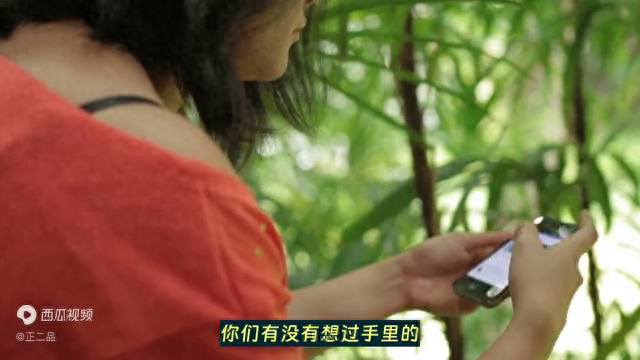 旧苹果手机回收价格一览：正二品回收估价详解！