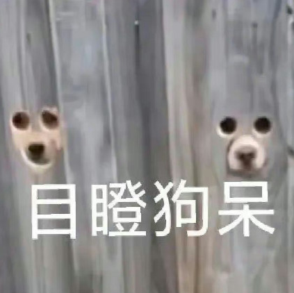 苹果又出烦人Bug！这功能别碰，不然手机废了