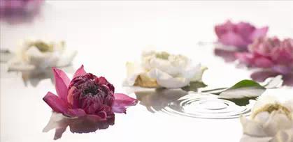 感冒咳嗽,您吃对药了吗?