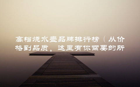 高档烧水壶品牌排行榜（从价格到品质，这里有你需要的所有信息）