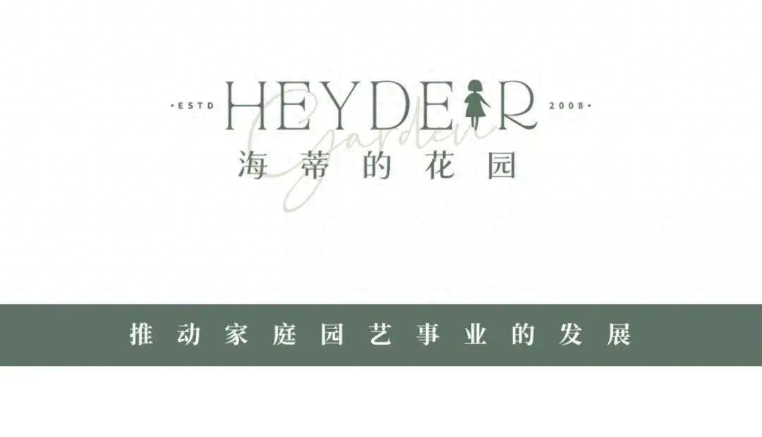 3.3㎡南阳台种超100棵植物，实现蔬果自由，水培番茄大丰收