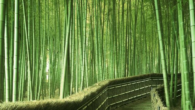 周末的视觉饕餮:50张高清有氧风光大片