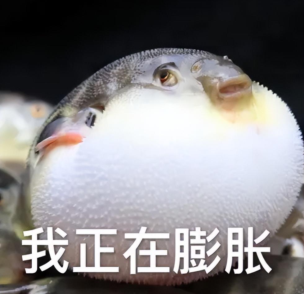 QQ极简版!真正的小而美,体积不到原来三分之一