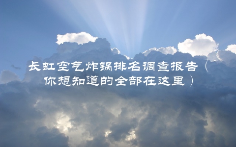 长虹空气炸锅排名调查报告（你想知道的全部在这里）