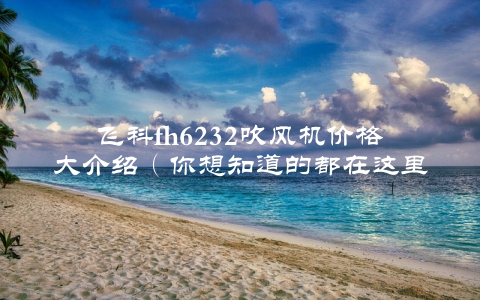飞科fh6232吹风机价格大介绍（你想知道的都在这里）