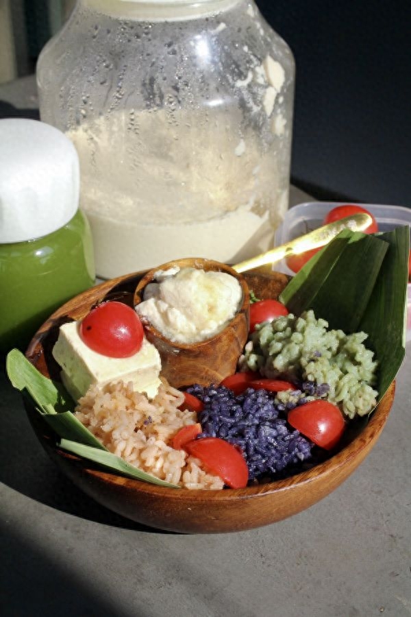 如何用黄豆做植物酸奶Soybean Yogurt「素食」