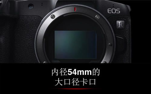 红圈也有狗头，佳能哪些镜头是真红圈？