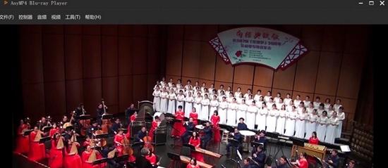 支持蓝光和DVD的视频播放器