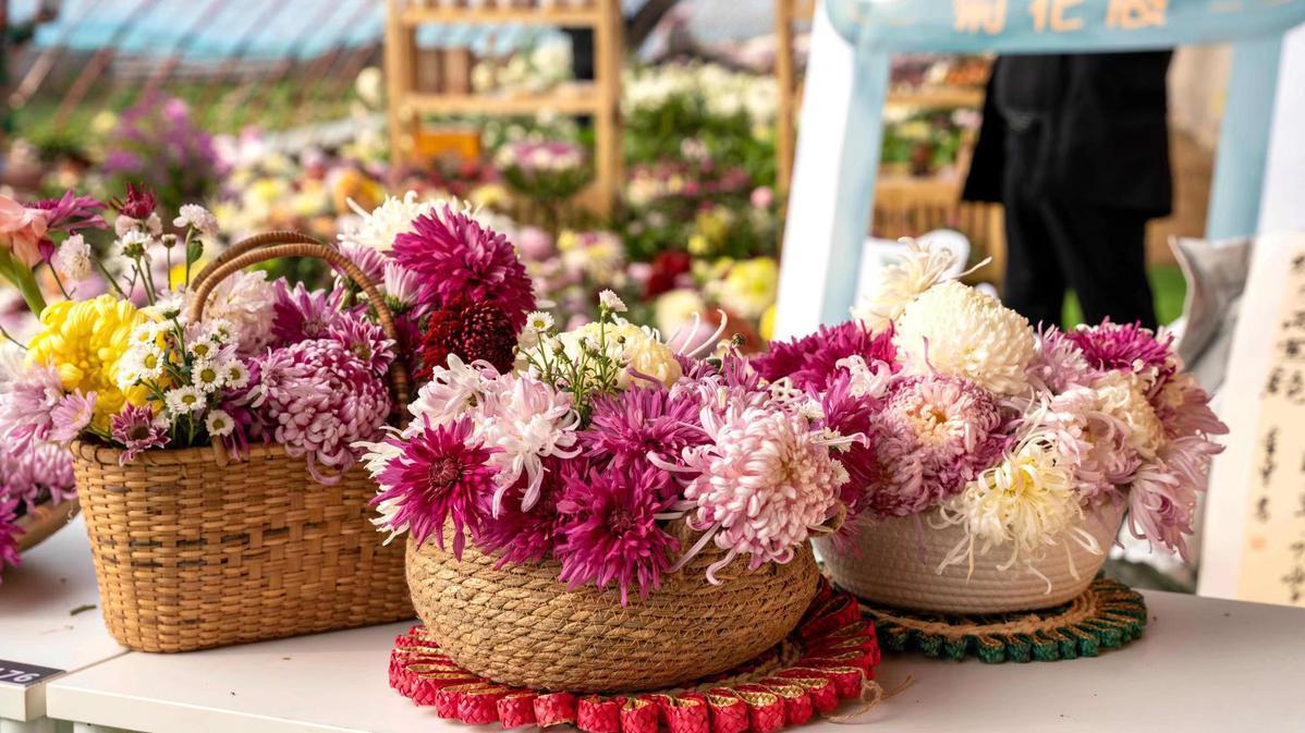 共享“菊”世无双