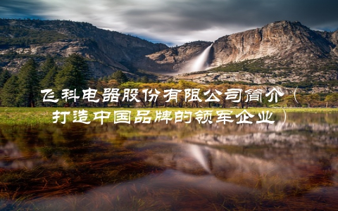 飞科电器股份有限公司简介（打造中国品牌的领军企业）
