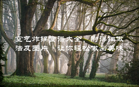 空气炸锅食谱大全，附详细做法及图片（让你轻松做出美味佳肴）