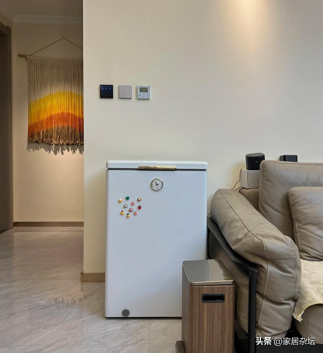 越来越多人跟风买冰柜,值得投入吗?别跟风!需求不同,差异很大